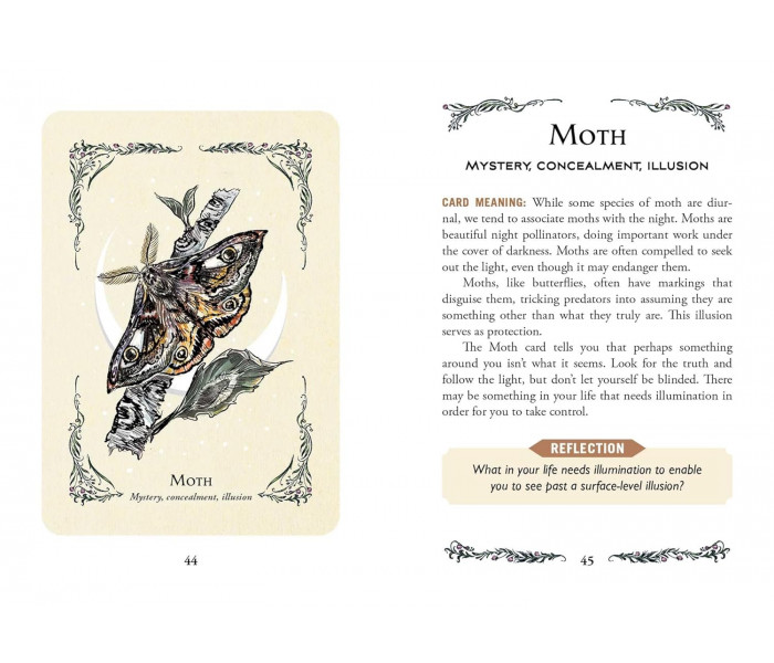 Оракул Зеленої Відьми - The Green Witch's Oracle Deck. Adams Media