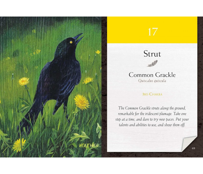 Карти Медитації Пташині Вібрації - Bird Vibes Meditation Cards. Beyond Words