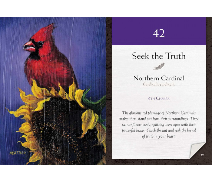 Карти Медитації Пташині Вібрації - Bird Vibes Meditation Cards. Beyond Words