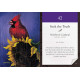 Карти Медитації Пташині Вібрації - Bird Vibes Meditation Cards. Beyond Words