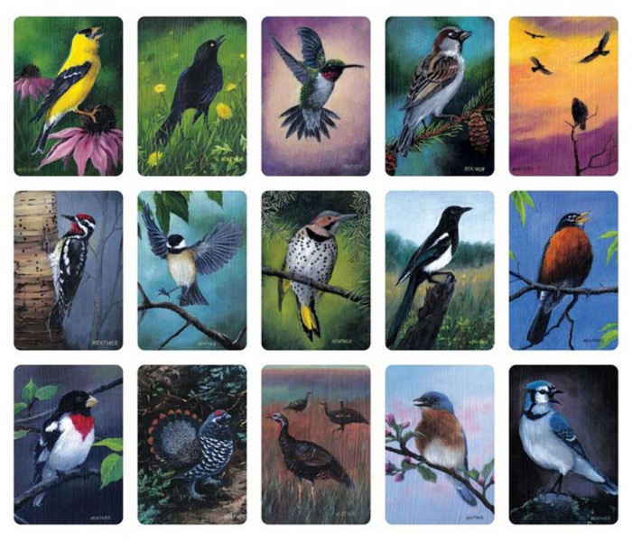 Карти Медитації Пташині Вібрації - Bird Vibes Meditation Cards. Beyond Words