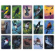 Карти Медитації Пташині Вібрації - Bird Vibes Meditation Cards. Beyond Words