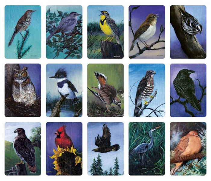 Карти Медитації Пташині Вібрації - Bird Vibes Meditation Cards. Beyond Words