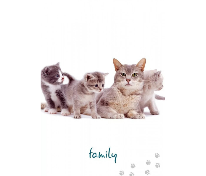 Карты Кошачьей Мудрости - Cat Wisdom Cards. Blue Angel