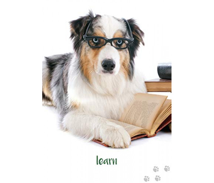 Надихаючі карти "Собача Мудрість" - Dog Wisdom Cards. Blue Angel