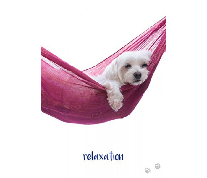 Надихаючі карти "Собача Мудрість" - Dog Wisdom Cards. Blue Angel