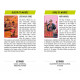 Таро Бунтівних Відьом - Rebel Witches Tarot. Dover Publications
