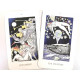 Таро Відьми Йоланди - The Jolanda Witch Tarot. Findhorn Press
