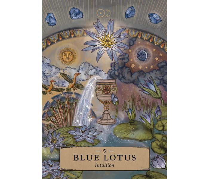 Кишеньковий Оракул Трав'яної Астрології - The Herbal Astrology Pocket Oracle Сards. Hay House