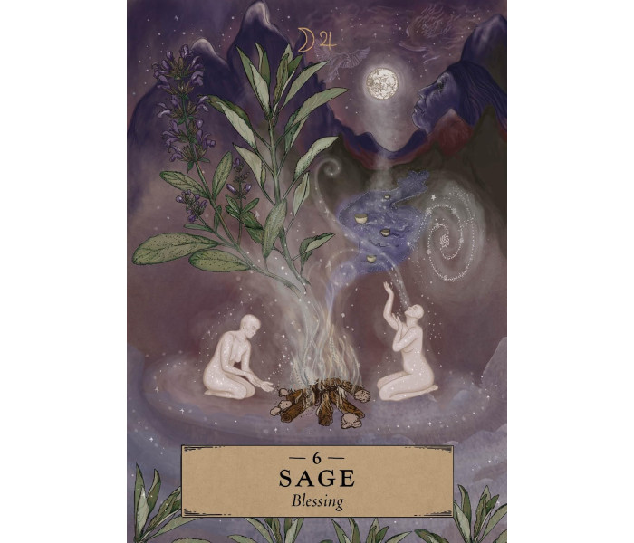 Кишеньковий Оракул Трав'яної Астрології - The Herbal Astrology Pocket Oracle Сards. Hay House
