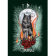 Рунический Оракул Ведьмин Фамильяр - The Witch’s Familiar Runic Oracle Cards. Hay House