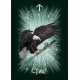 Рунический Оракул Ведьмин Фамильяр - The Witch’s Familiar Runic Oracle Cards. Hay House