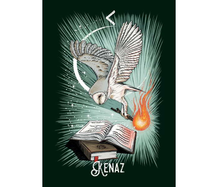 Рунический Оракул Ведьмин Фамильяр - The Witch’s Familiar Runic Oracle Cards. Hay House