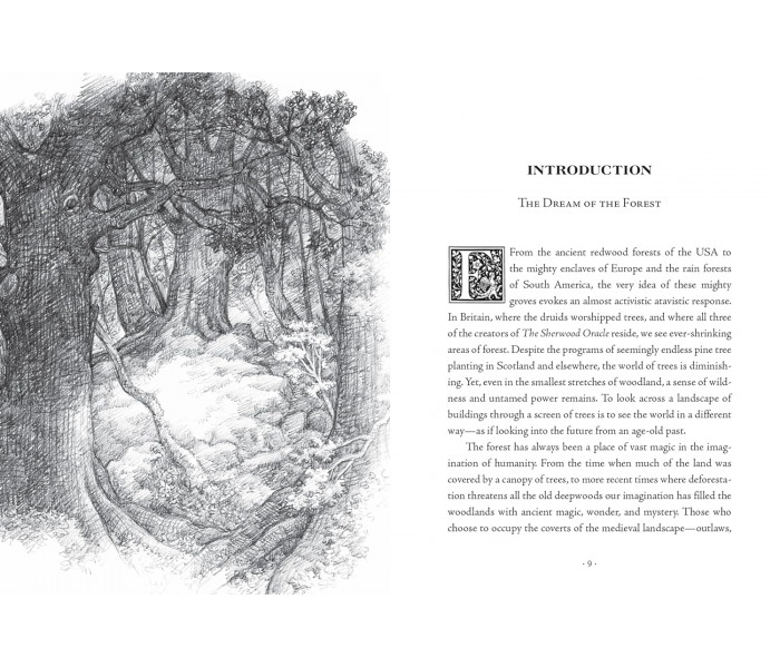 Карты Шервудского Оракула - The Sherwood Oracle Cards. Sterling Ethos