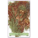 Карты Шервудского Оракула - The Sherwood Oracle Cards. Sterling Ethos
