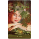 Оракул Висхідної Дикої Жінки - Wild Woman Rising Oracle Cards. US Games Systems