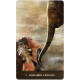 Оракул Висхідної Дикої Жінки - Wild Woman Rising Oracle Cards. US Games Systems