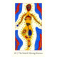 Таро Сияющего Племени - Shining Tribe Tarot. Weiser Books