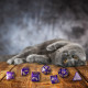 Кубики RPG CATS Dice Set: Purrito. Q WORKSHOP (SCAT01)
