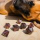 Кубики RPG Dogs Dice Set: Luna. Q WORKSHOP (SDOG01)