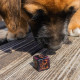 Кубики RPG Dogs Dice Set: Luna. Q WORKSHOP (SDOG01)