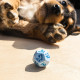 Кубики RPG Dogs Dice Set: Max. Q WORKSHOP (SDOG02)