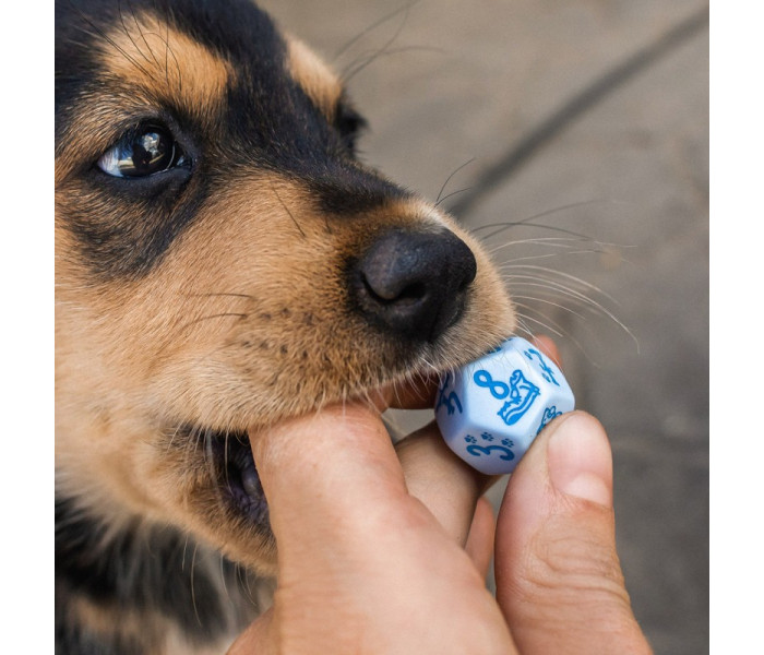 Кубики RPG Dogs Dice Set: Max. Q WORKSHOP (SDOG02)