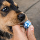 Кубики RPG Dogs Dice Set: Max. Q WORKSHOP (SDOG02)