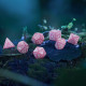 Кубики RPG Elvish Shimmering pink & White Dice Set. Q WORKSHOP (SELV11)