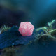 Кубики RPG Elvish Shimmering pink & White Dice Set. Q WORKSHOP (SELV11)