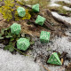 Кубики RPG Forest Dice Set: Tundra. Q WORKSHOP (SFOR04)