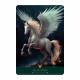 Карты Феникса - The Phoenix Cards. AGM