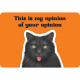 Котонастроение: Карты Настроя Дня - Cattitude: Attitude of the day: cat edition Cards. Rockpool Publishing