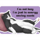 Котонастроение: Карты Настроя Дня - Cattitude: Attitude of the day: cat edition Cards. Rockpool Publishing