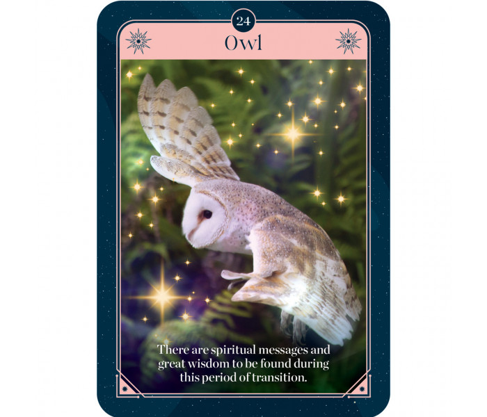 Оракул Удачі - Fortune Oracle. Rockpool Publishing
