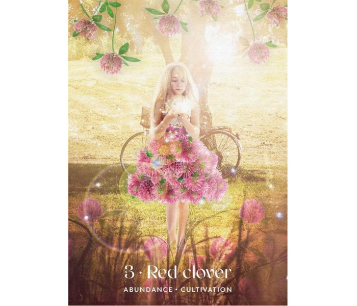 Оракул Опівнічного Сонця - Midnight Sun Oracle. Rockpool Publishing