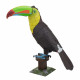 Металева збірна 3D модель Keel-billed Toucan, Metal Earth (ME1020)
