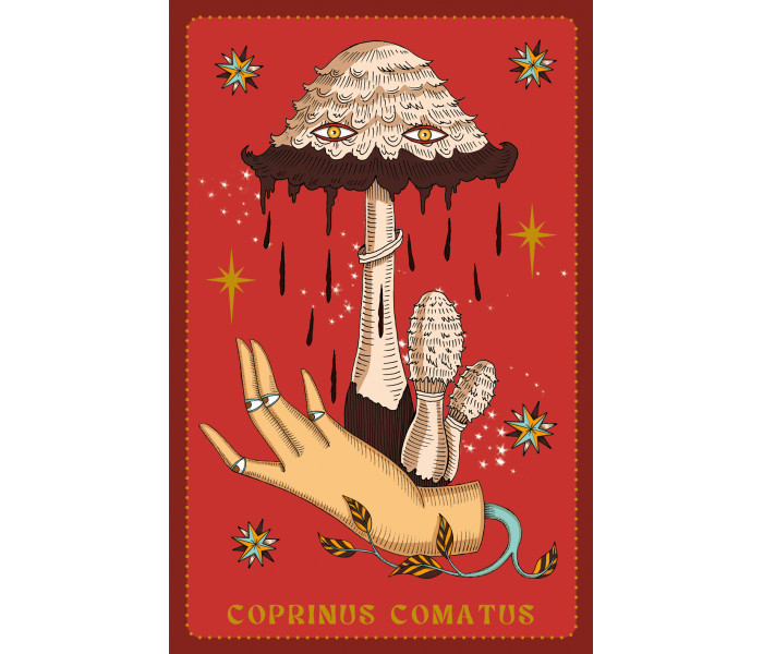 Оракул Гербарію - Herbarium Oracle Cards. Lo Scarabeo