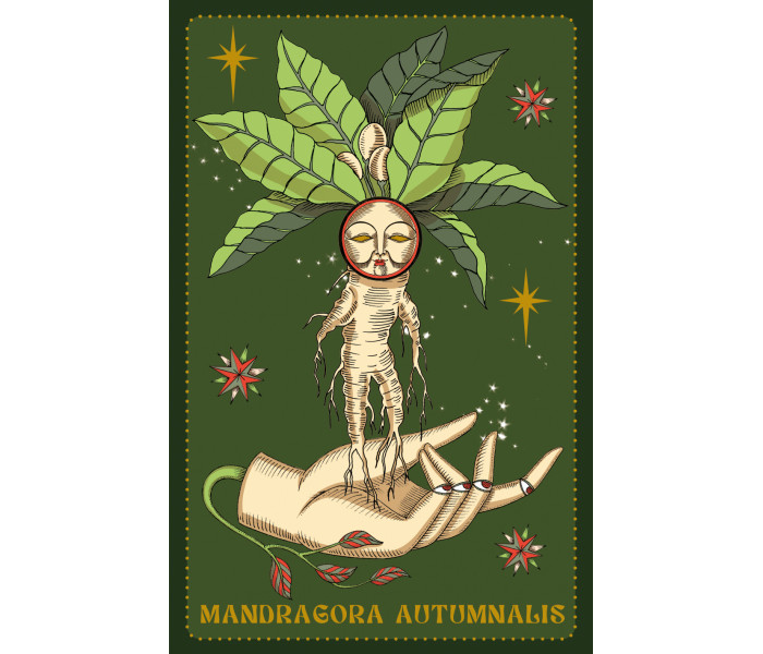 Оракул Гербарію - Herbarium Oracle Cards. Lo Scarabeo