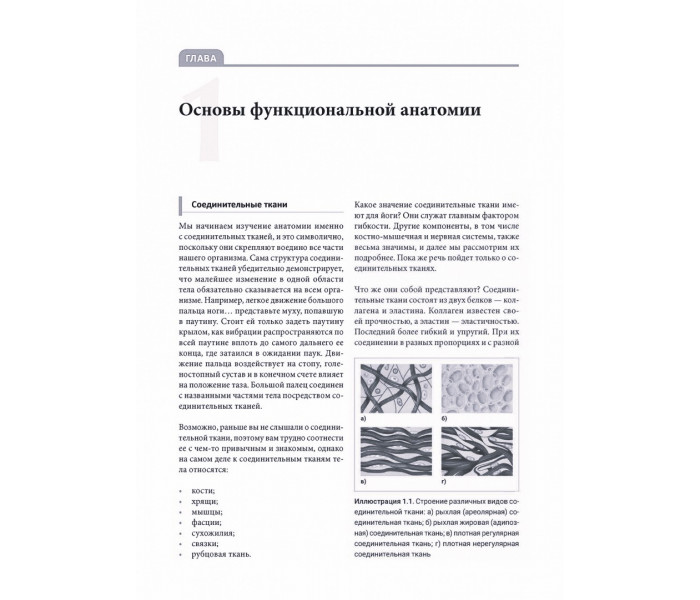 Книга Функциональная анатомия йоги. Пособие для практикующих и наставников. Дэвид Кайл