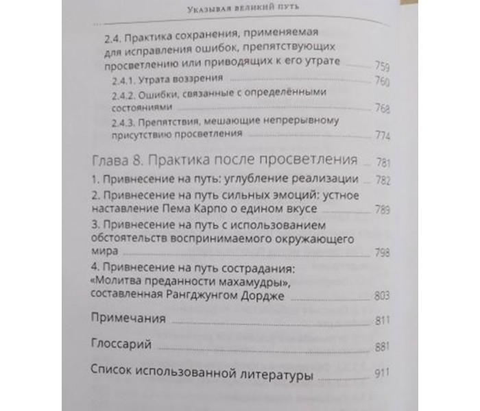Книга Указывая великий путь. Махамудра. Этапы медитации. Браун Дэниел (8611)