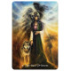 Карты Духовных Наставлений - Channelled Spiritual Guidance Cards. Animal Dreaming
