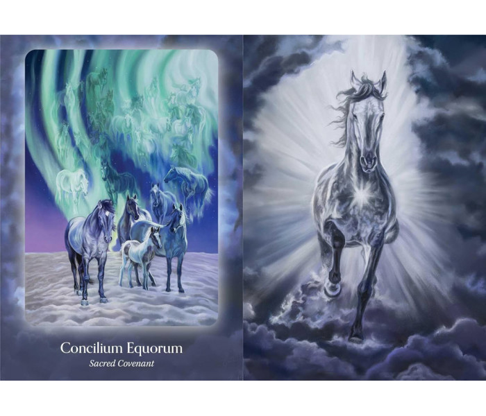 Оракул Порад Коней - Council Of Horses Oracle. Bear & Company