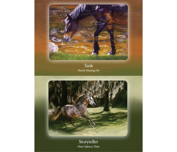 Оракул Порад Коней - Council Of Horses Oracle. Bear & Company