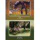 Оракул Порад Коней - Council Of Horses Oracle. Bear & Company