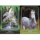 Оракул Порад Коней - Council Of Horses Oracle. Bear & Company