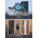 Оракул Порад Коней - Council Of Horses Oracle. Bear & Company