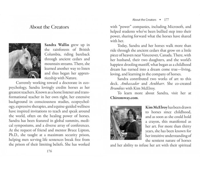 Оракул Порад Коней - Council Of Horses Oracle. Bear & Company