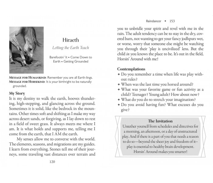 Оракул Порад Коней - Council Of Horses Oracle. Bear & Company