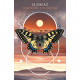 Карти Руни: Путівник Тварин - Animal Guide Rune Cards. Blue Angel